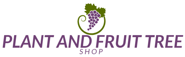 Plant And Fruit Tree Shop