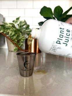 Elm Dirt Plant Juice -Plant And Fruit Tree Shop IMG 6513