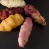 Oca Tubers