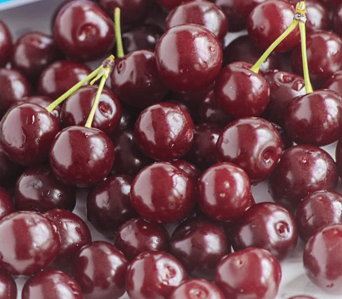 Angela® Cherry 1 Angela® Cherry