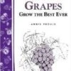 Great Grapes