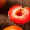 Dapple Dandy Pluot